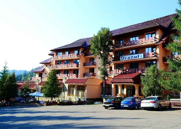 Hotel Bradul