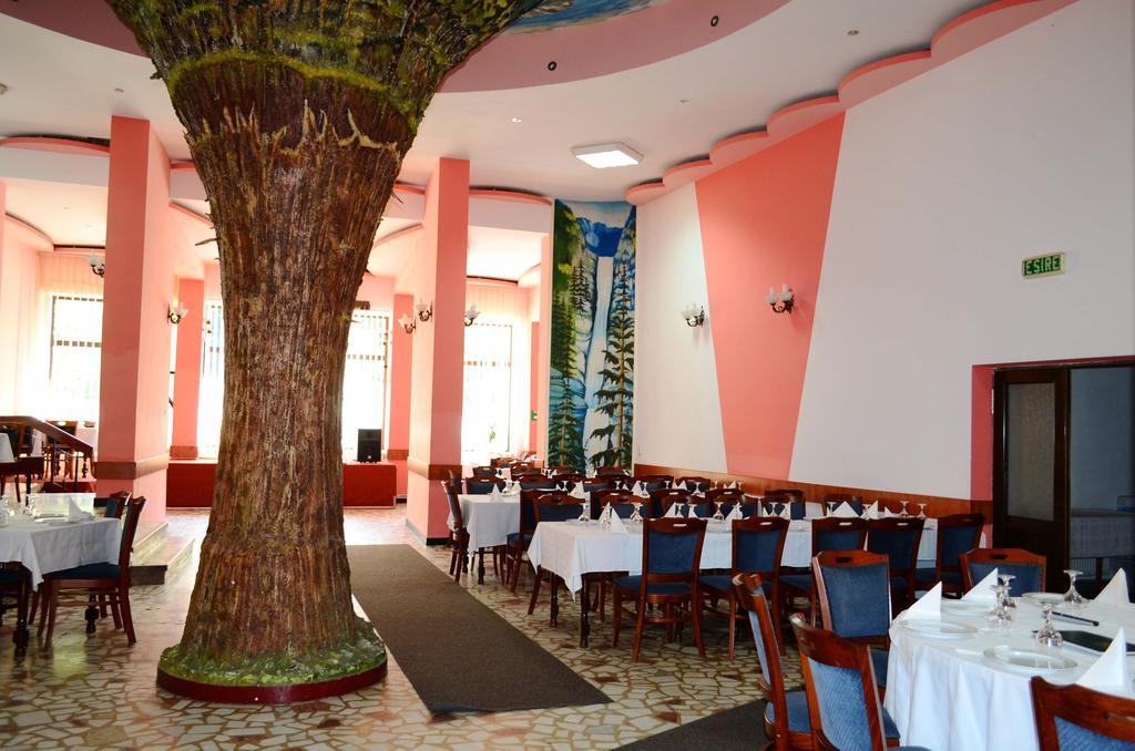 Hotel Bradul