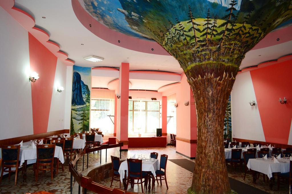 Hotel Bradul